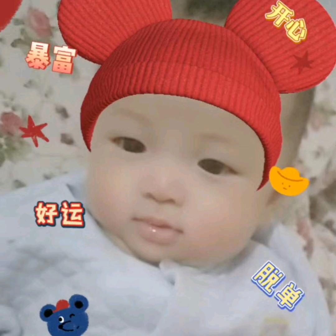 毛寨李会娟