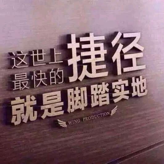 物流哥🐍