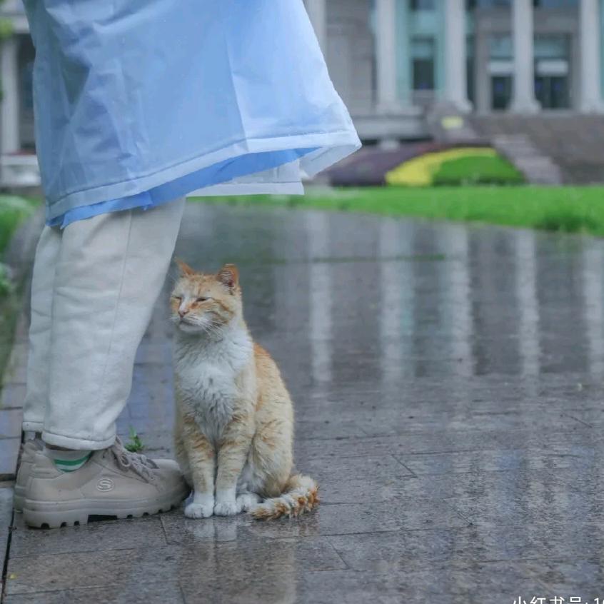 我的出发日记