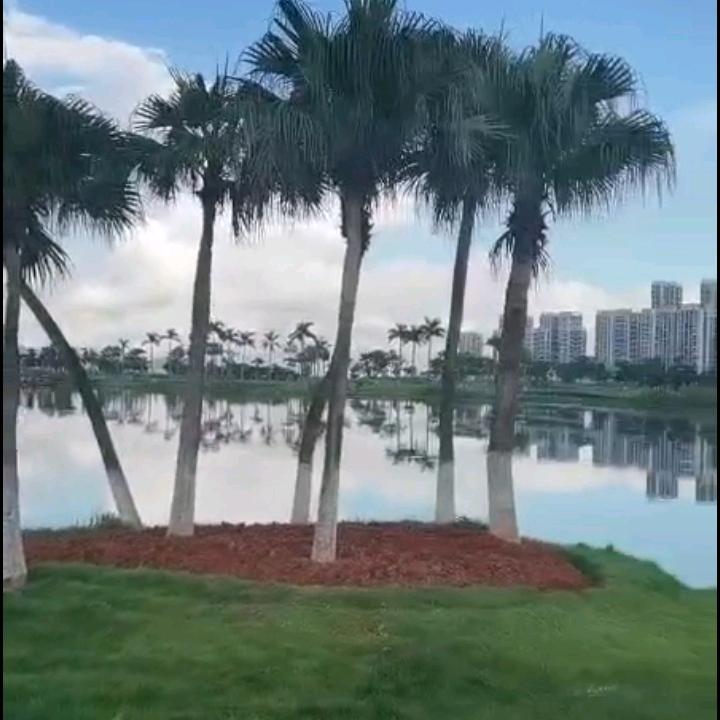 春天里
