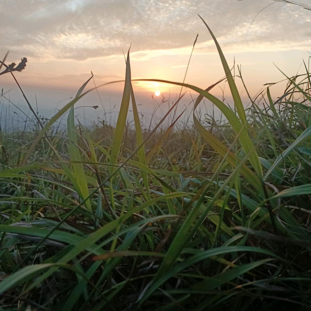飞得更高
