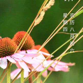 静思一语
