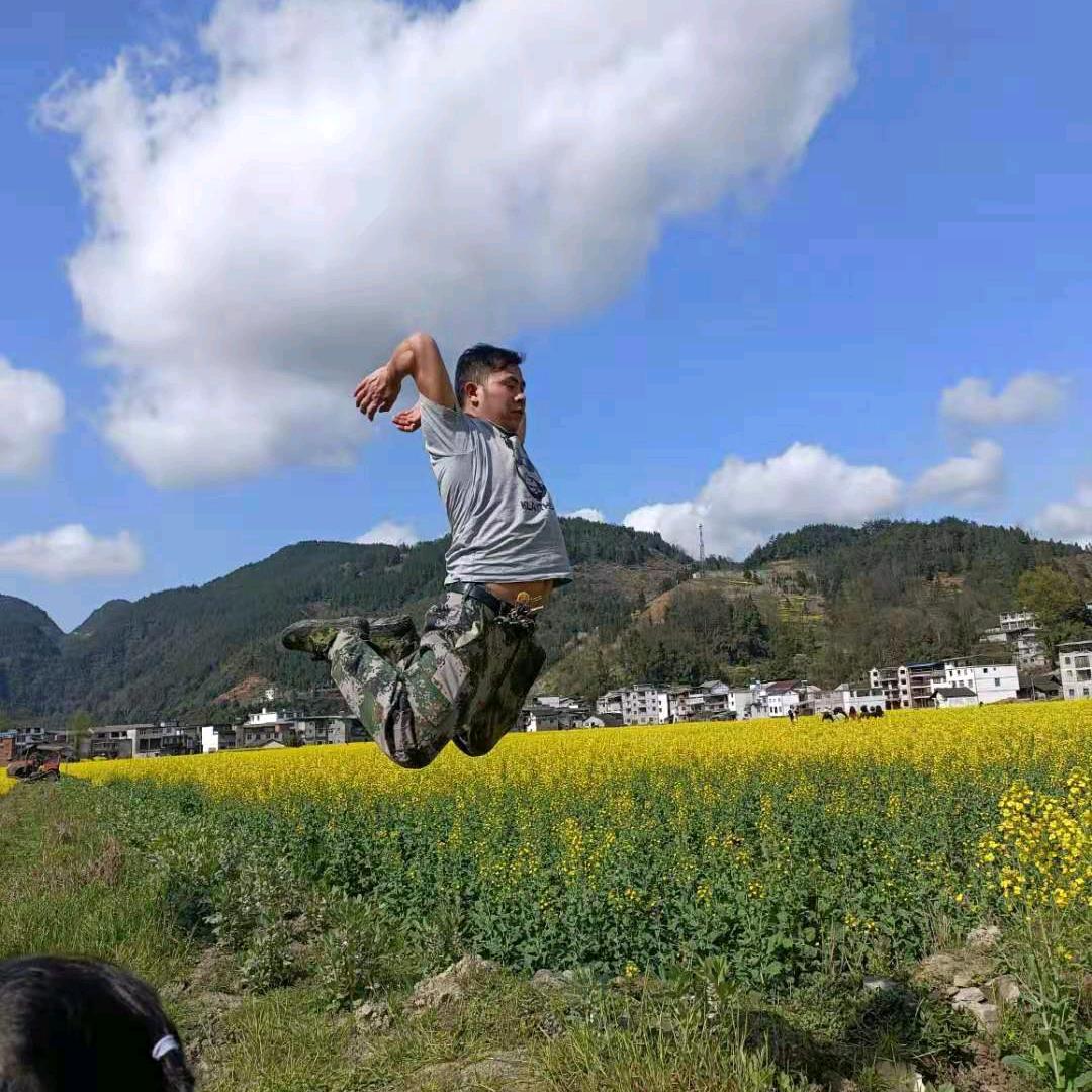 爬树侠