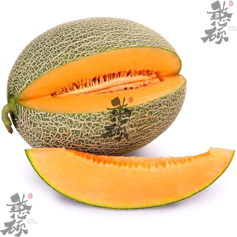 甘肃民勤•蜜瓜哥