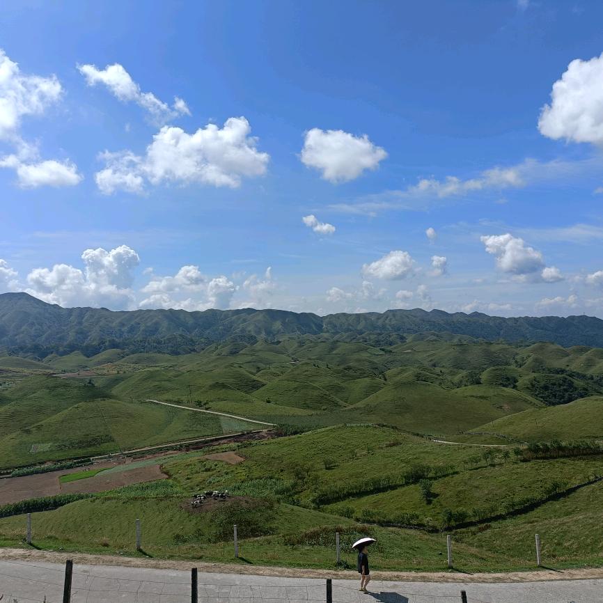 小月亮XYL