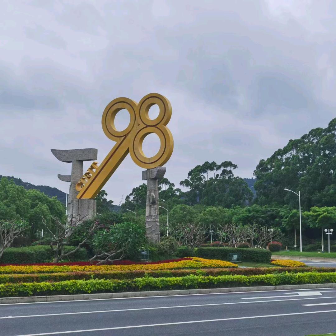 落叶428