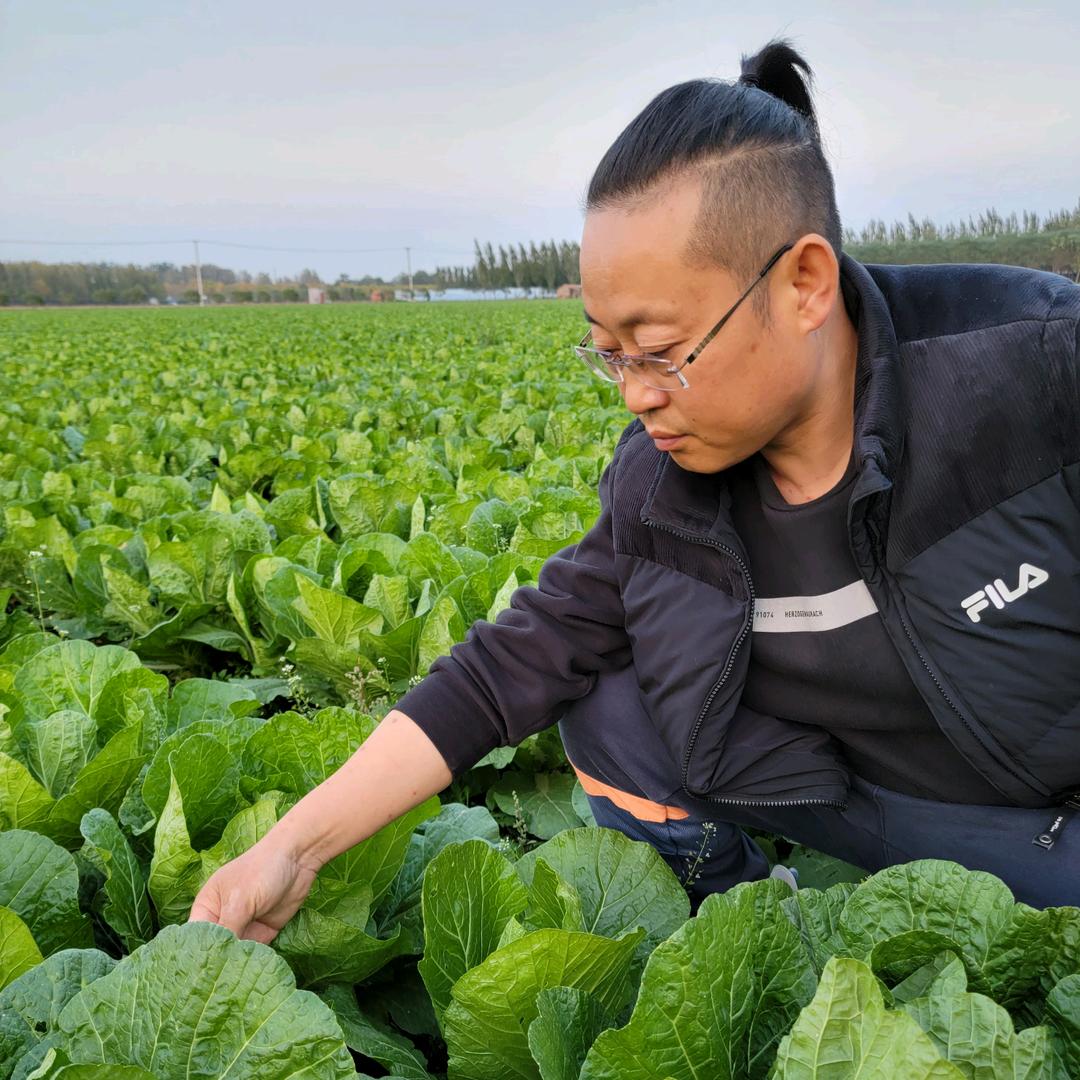 沈老师大棚种植技术指导