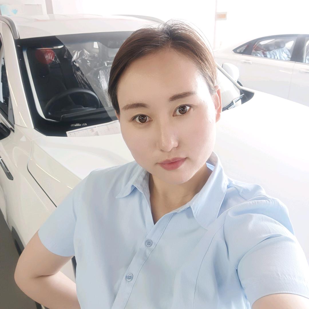 三门峡电动汽车批发城