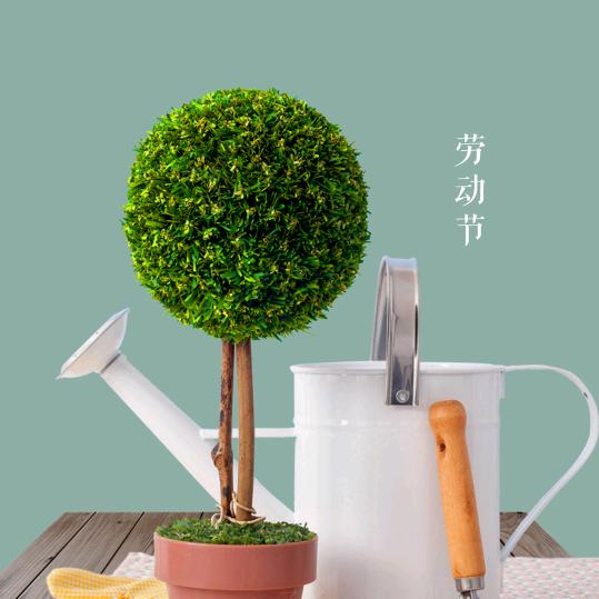 蓝花花