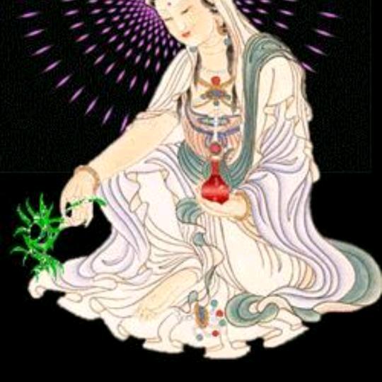 🐾钱百顺🐬✨