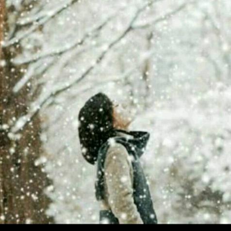 雪中聽風