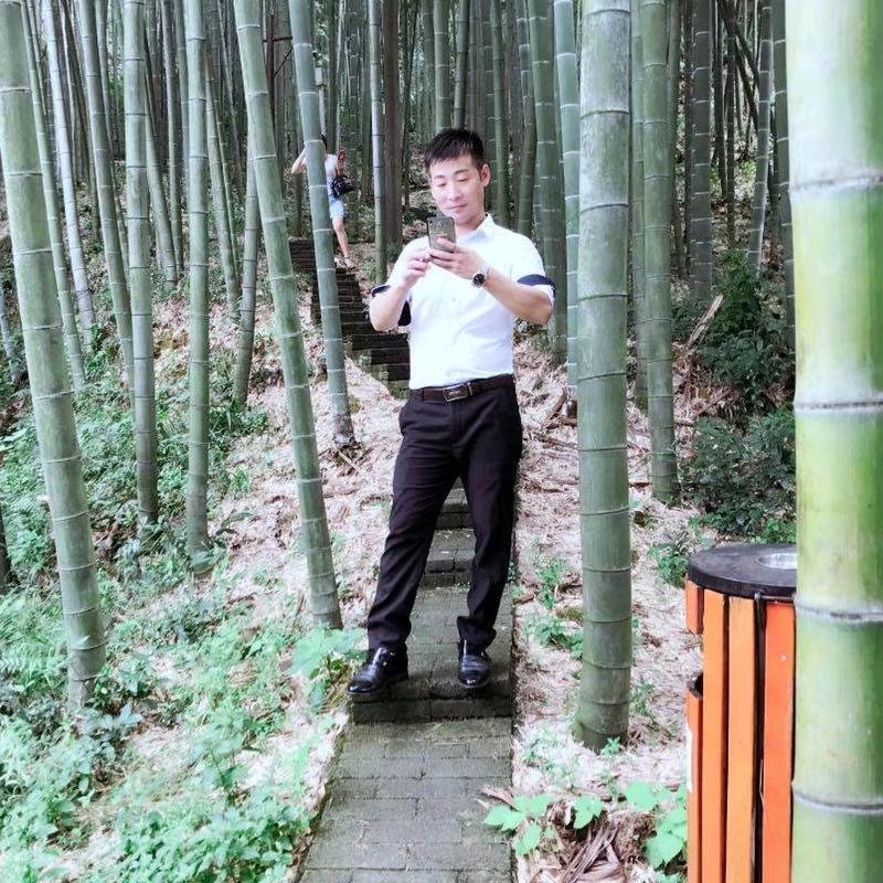 蓬蓬