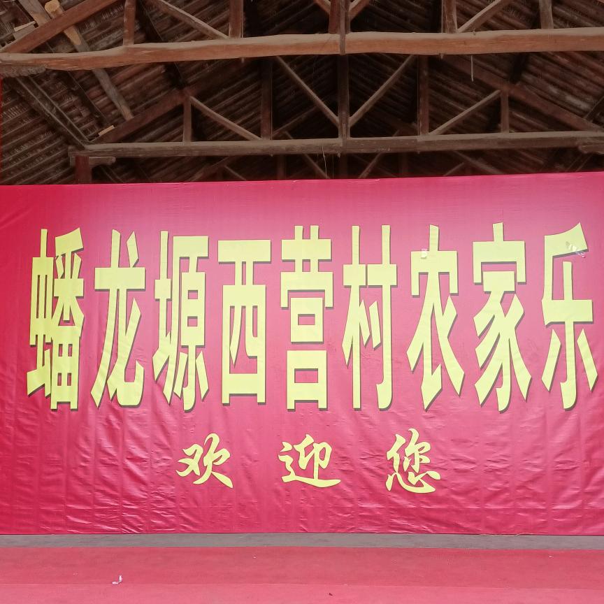 蟠龙塬西营村农家乐
