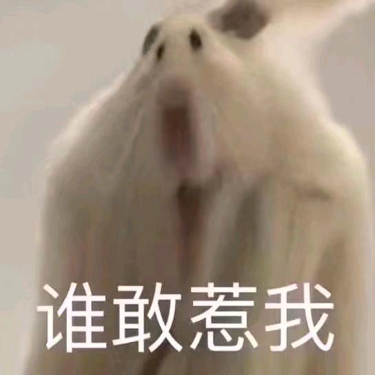 默雨