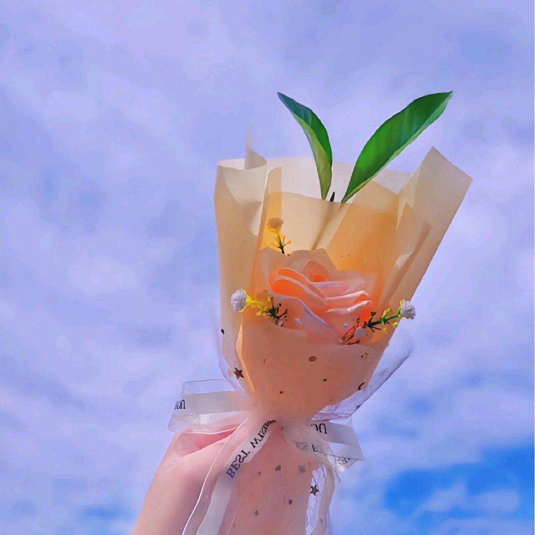 甜豆优选