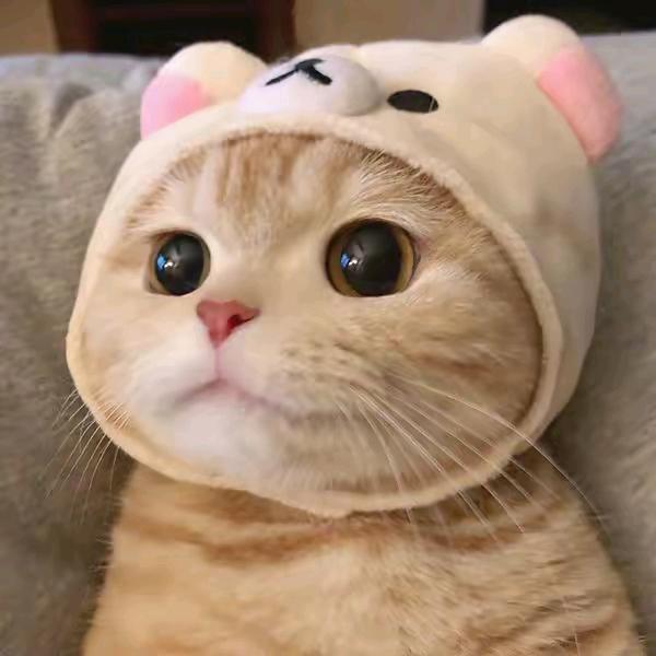 钟火火