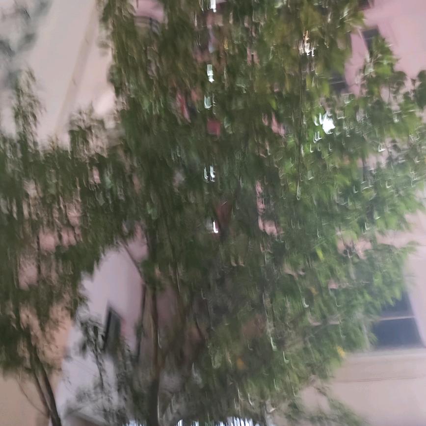 舟舟通讯