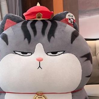 巨猫爱玩游戏