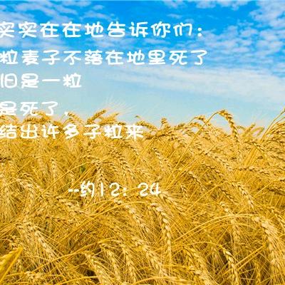 麦子🎤