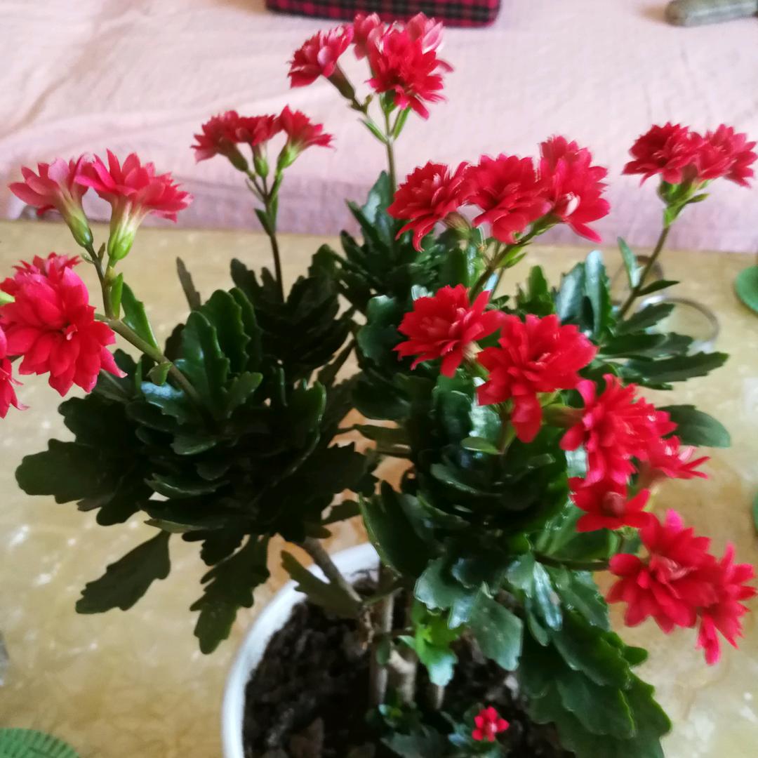 辽阔幸福快乐