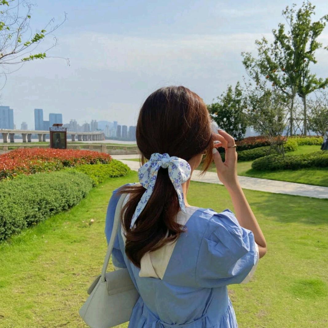 梦之遥