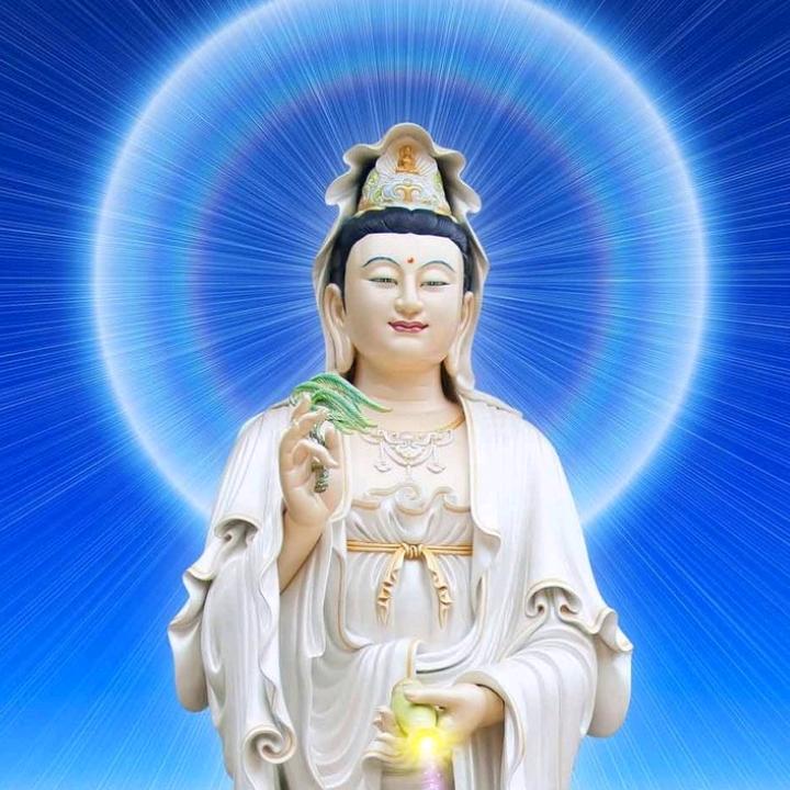 80岁的老奶奶（唯一账号）