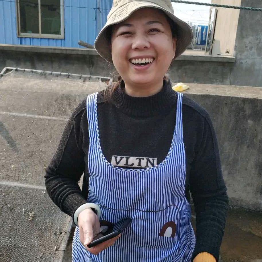 北茭老陈
