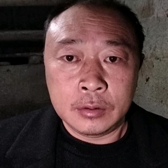 金仕仪