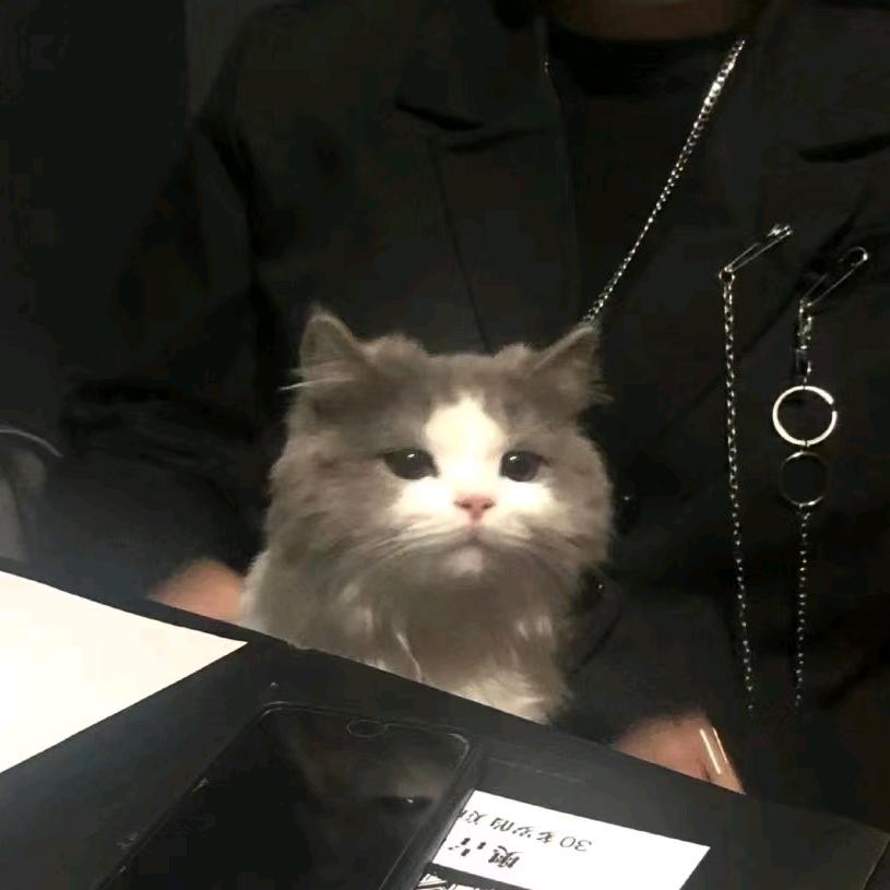 ﹏