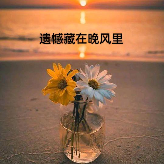 静静看🌹
