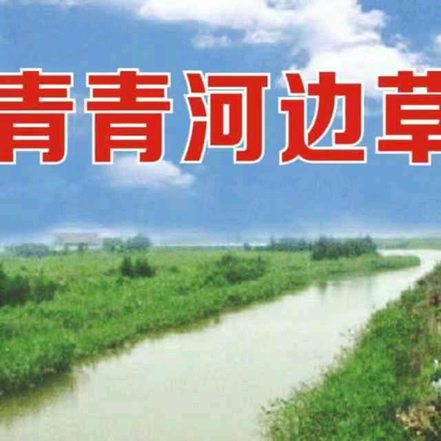 青青河边草@