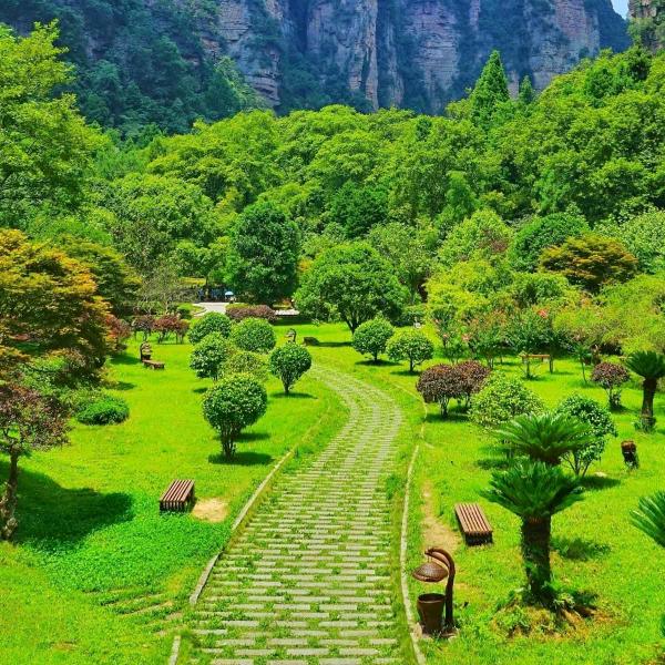 就已经好