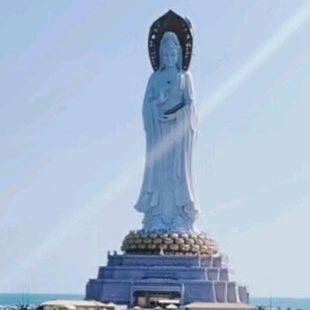 绿萝