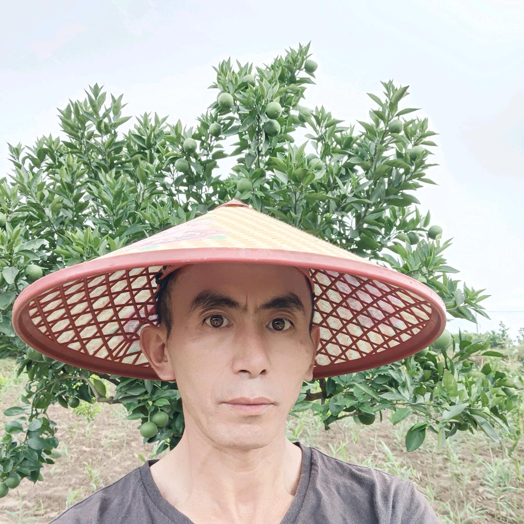 关岭断桥卢发应果子园