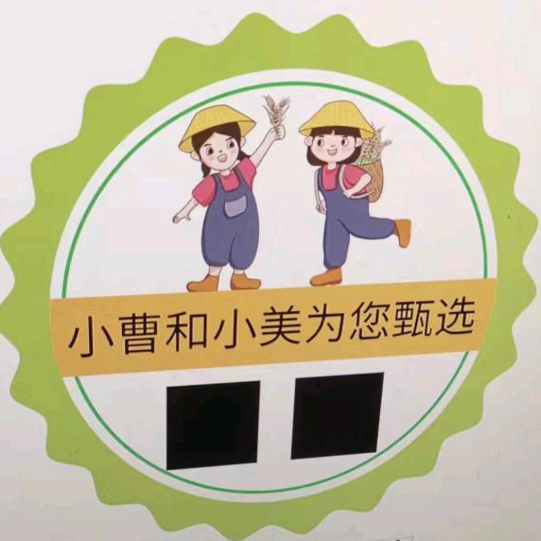 小曹和小美的农场