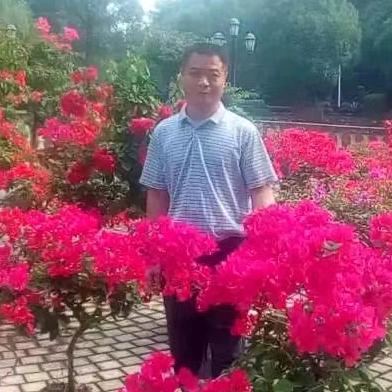 梅哥