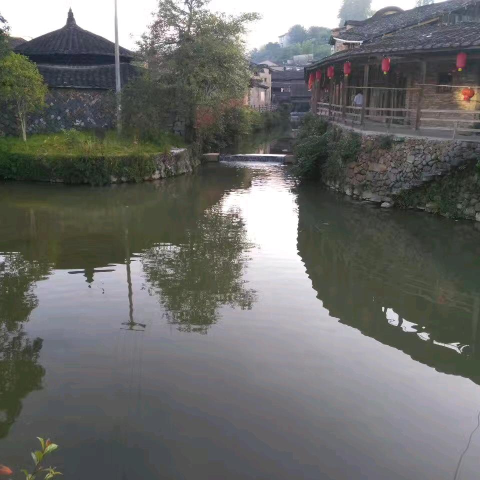 阿强