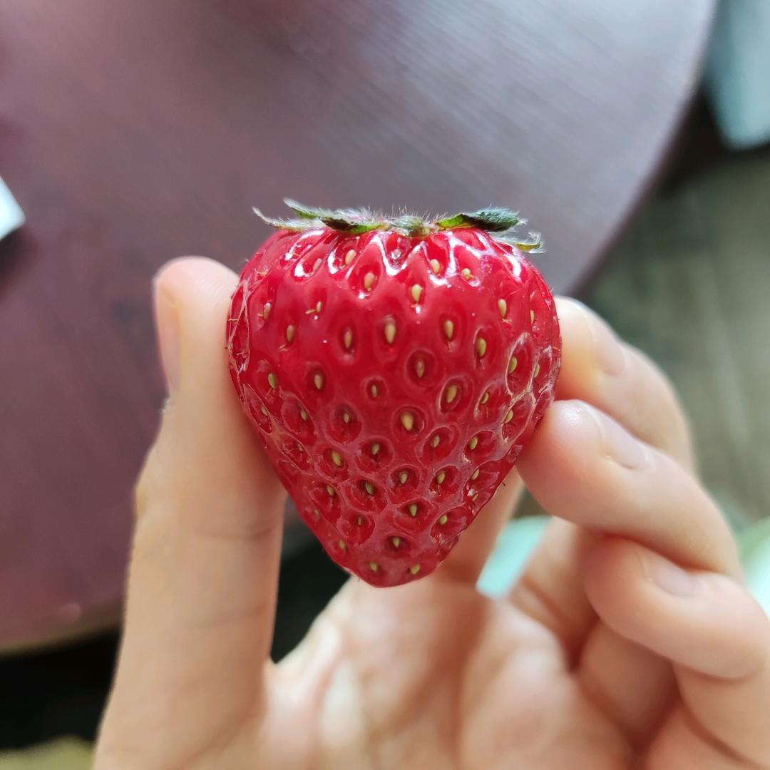 一个沙漠里的小柚子