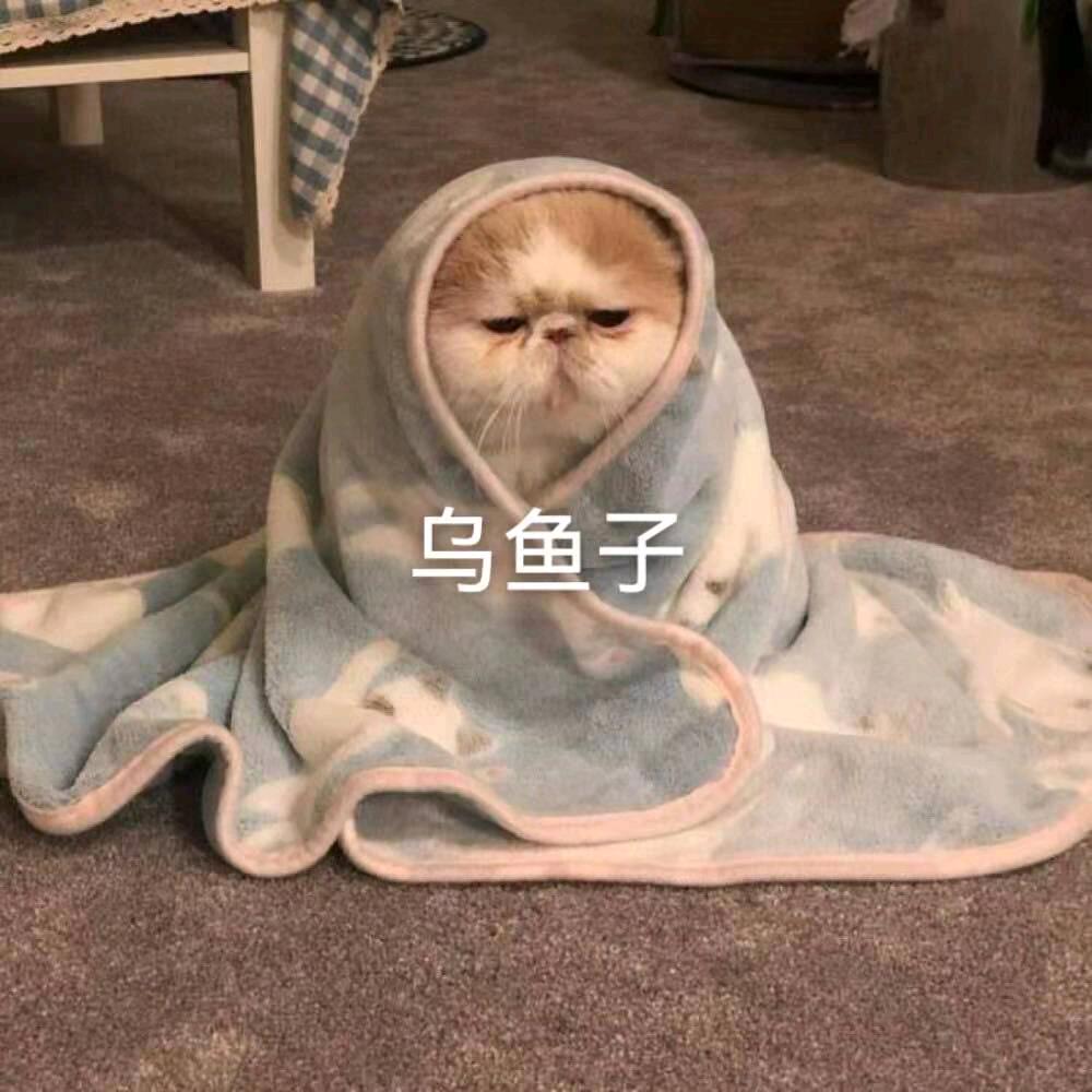牛子琪