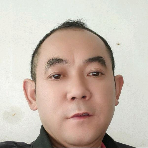 岁闫平果