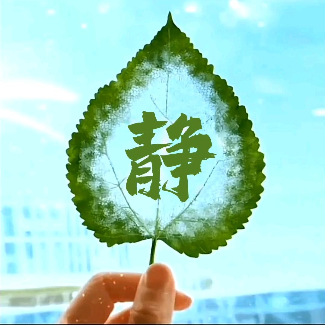 静姐分享