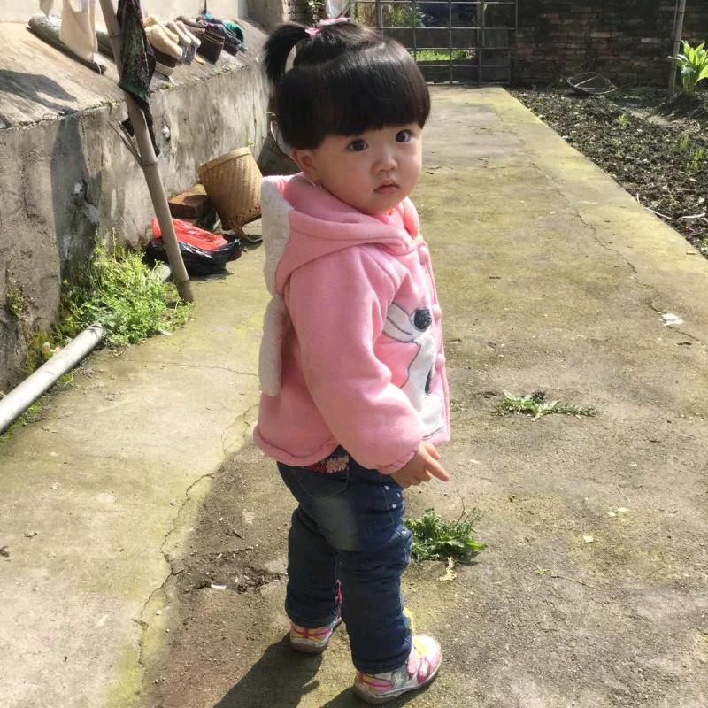 王者菜鸟