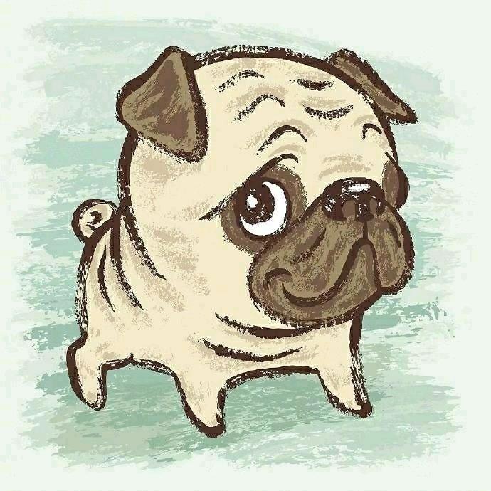 袁先生~