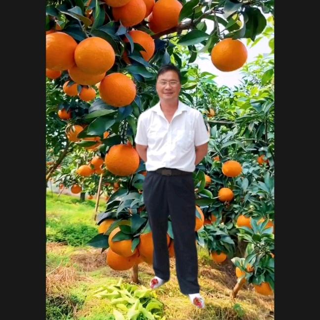 刘祖建