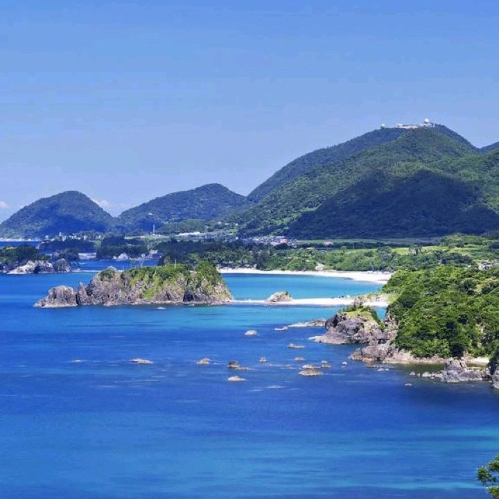 爱拼才会赢单身