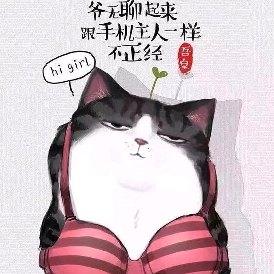 陈十二
