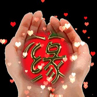 🥀এ᭄度ꦿ余💔生ོ࿐ᩚ