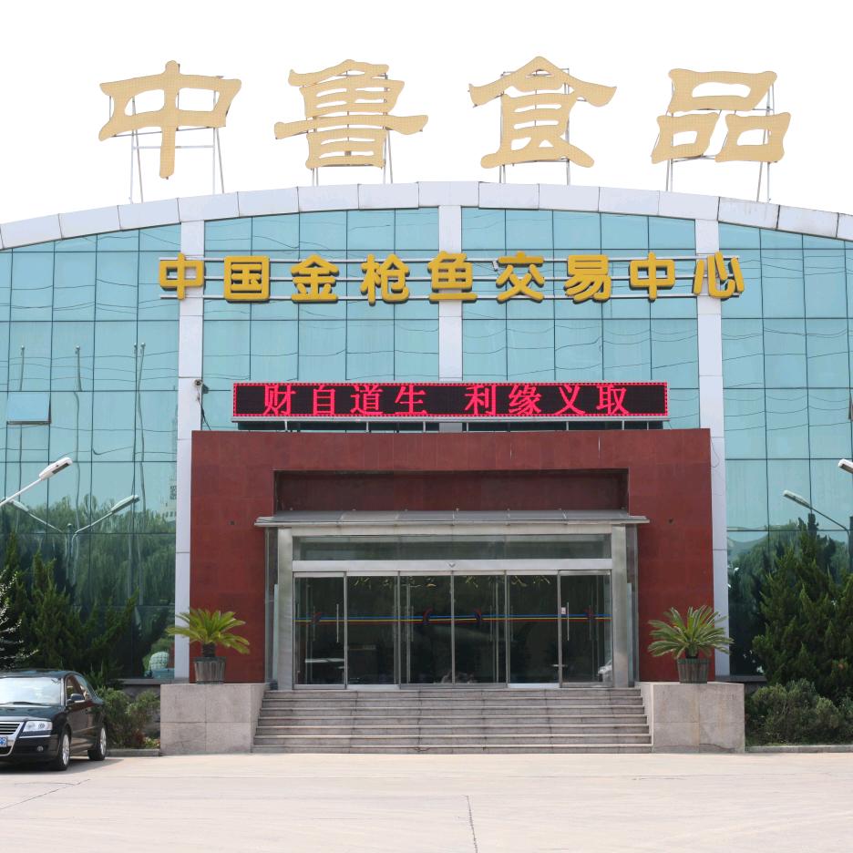 中鲁金枪鱼