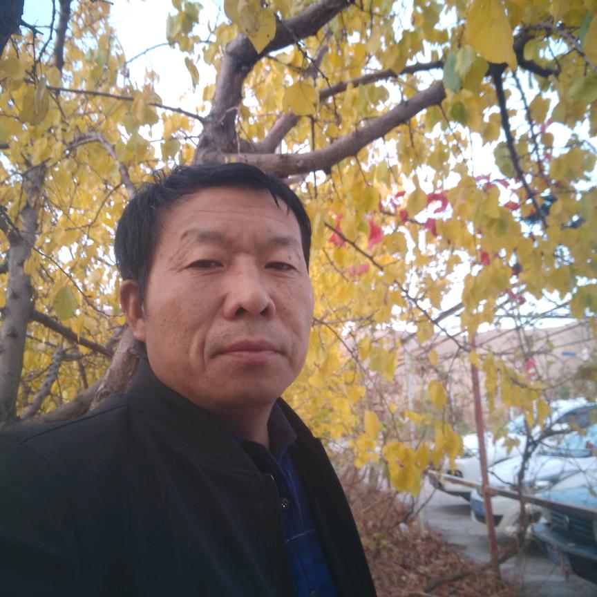 敢拼才会赢