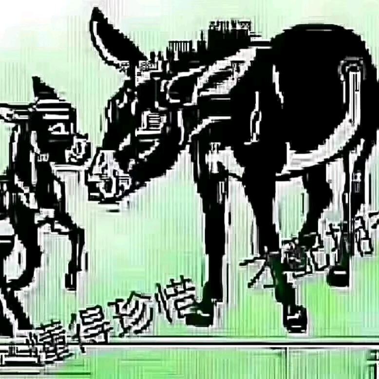 看淡一切